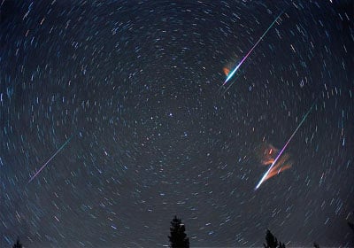 The Fireballs of the Leonids