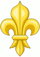 A fleur de lys.