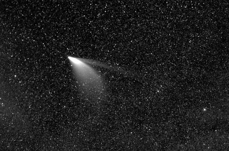 Neowise has wings