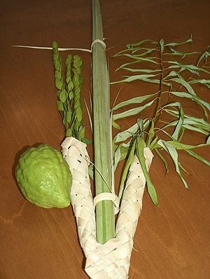 Lulav with etrog