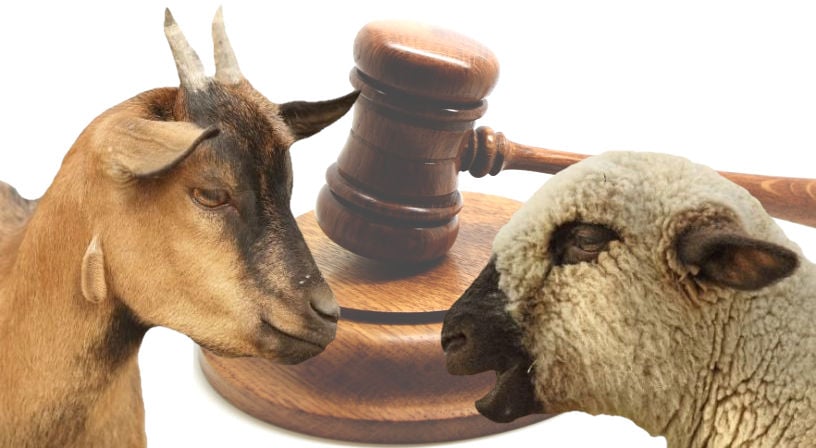 Judgment of the sheep and the goats.