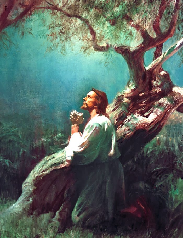 Jesus at the olive tree