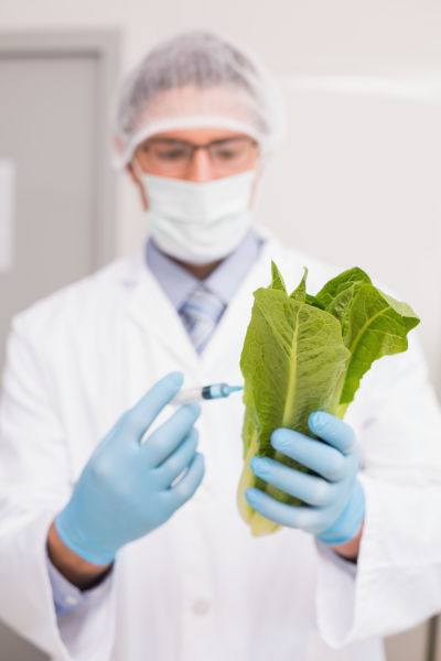 Modifying Lettuce for Vaccine Production