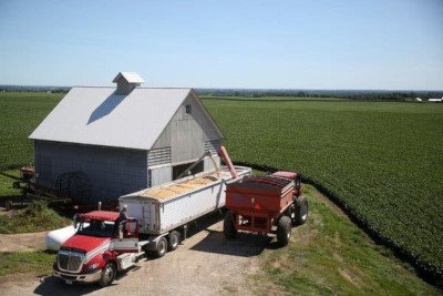 Working in the harvest