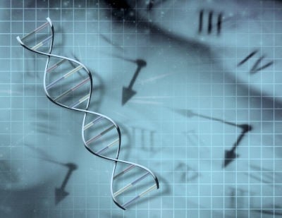 DNA transcription in the medium of time