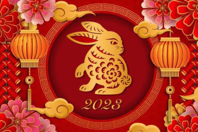 The Year of the Rabbit